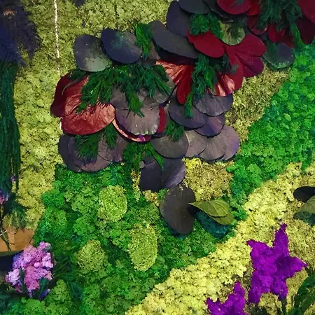 Affittacamere Piazza Mulino 26 Matera