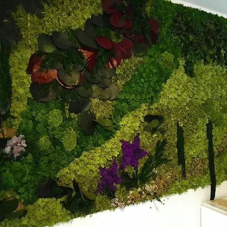 Affittacamere Piazza Mulino 26 Matera